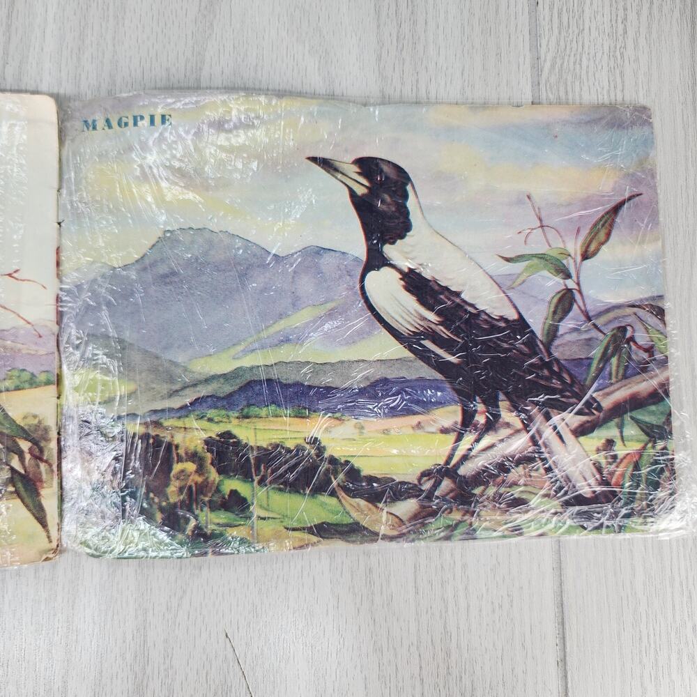 Vintage 1953 Australian Animals Children’s Book Photograpatures Illustrated - Picture 15 of 16